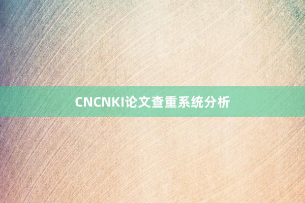 CNCNKI论文查重系统分析